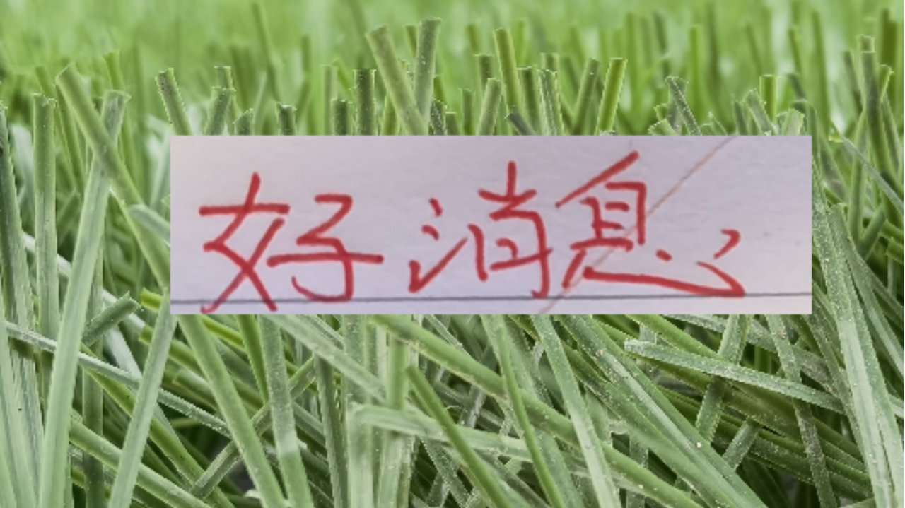 超级杯大战！斯卢茨基也是刺探军情！北京国安这气势 申花能守住吗