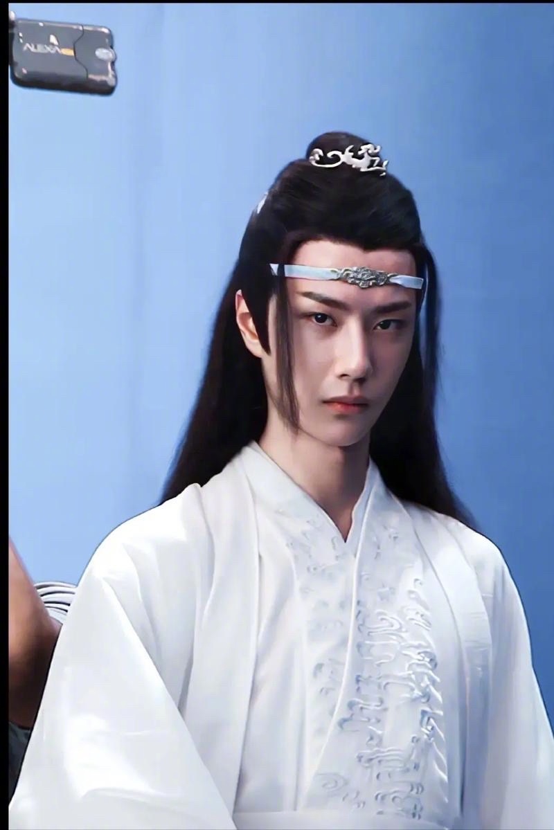 网友想补充肖战王一博的《陈情令》、肖战的《藏海传》以及成毅的《赴山海》