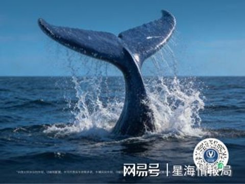 HEV赛道洗牌，长安蓝鲸超擎强势领跑