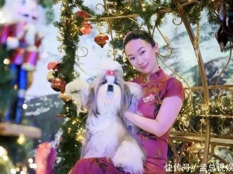 霍思燕携西施犬夺冠，杜江三呼“唯一”燃动全网 - 360娱乐