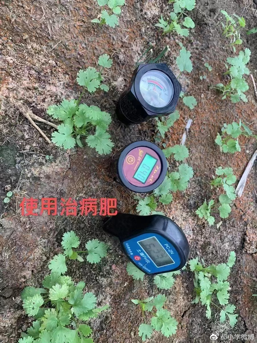 改变盐碱地让土壤健康起来