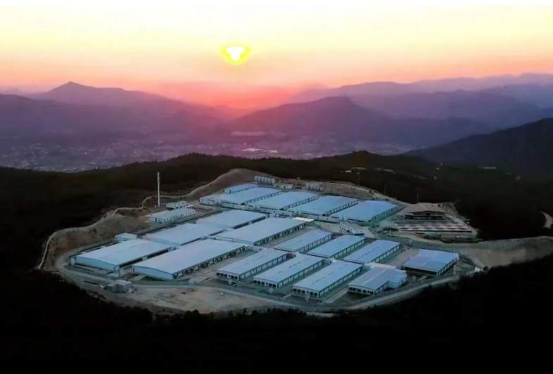 泉州洛江:大力推进137个乡村振兴项目建设|罗溪镇|猪舍|农业_新浪新闻