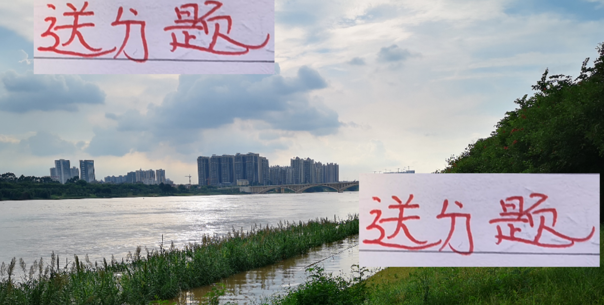 中超像高考！海港能把送分题都拿下 压轴题丢几分也能拿冠军！