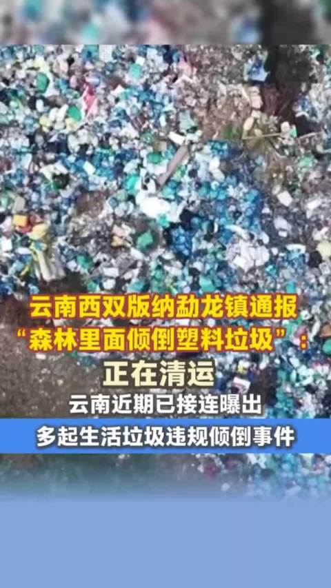 云南勐龙镇通报森林倾倒塑料垃圾事件，正清运
