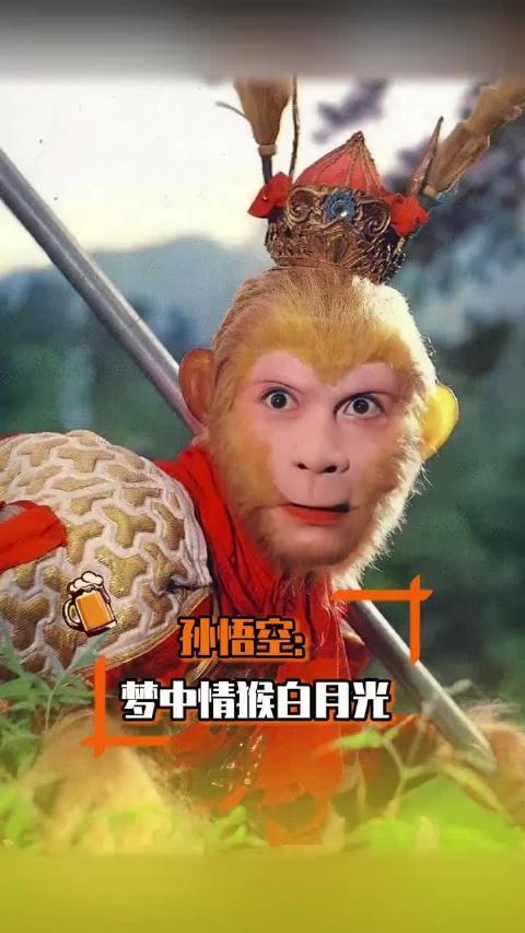 都说了年轻的时候不能遇到太惊艳的猴！