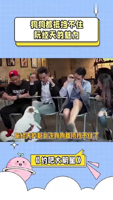 阮经天狗狗综艺_小视频