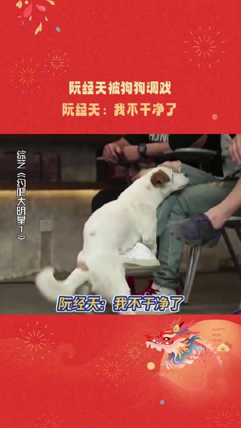 约吧大明星：阮经天被狗调戏