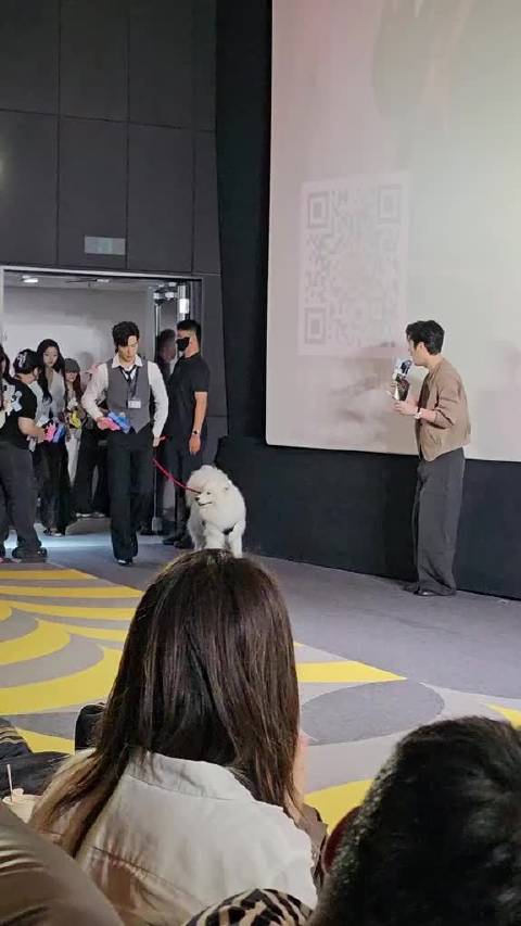 张艺凡来了？卢克 早春晴朗 孙千 井柏然 彭杨