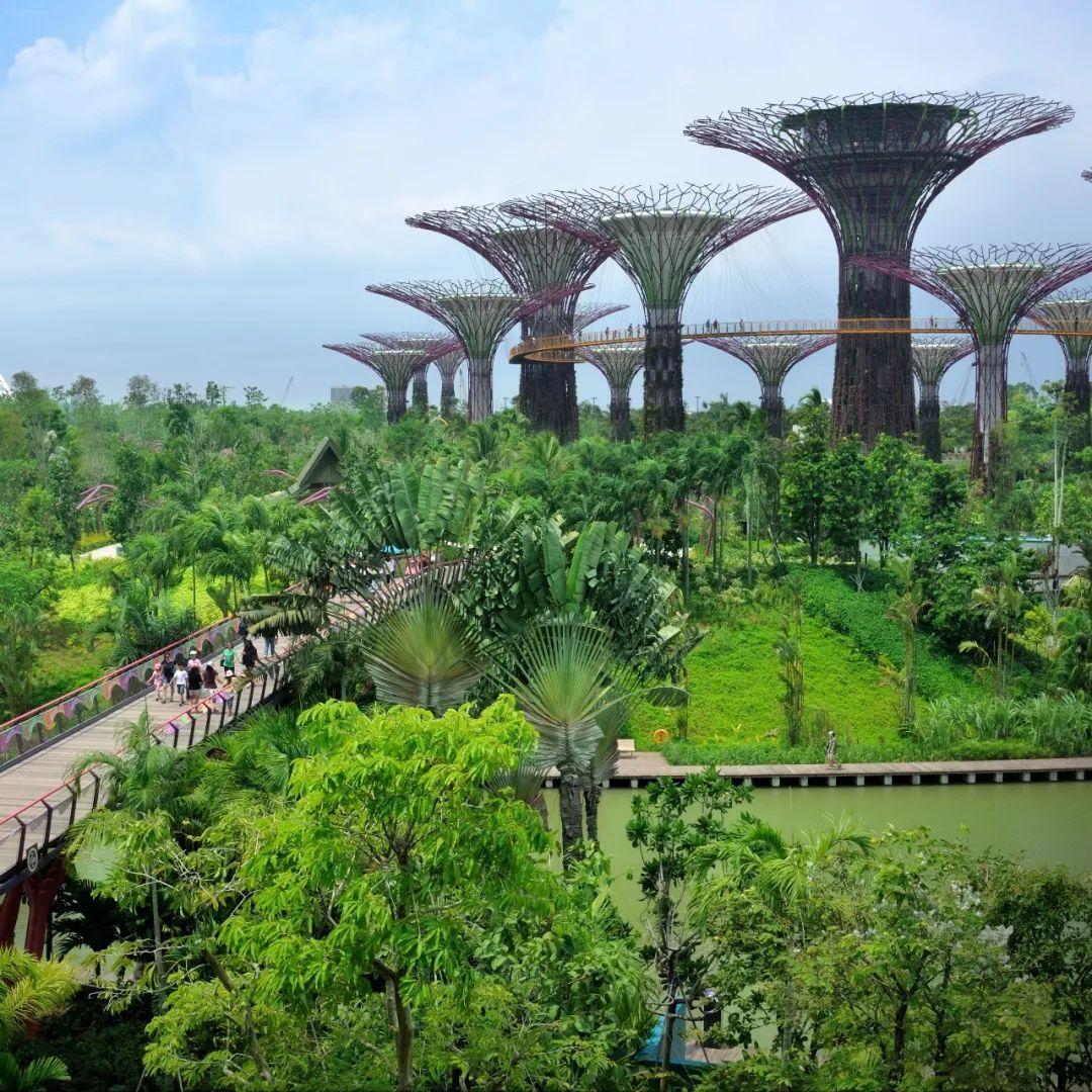 50张图，12个绝美绿色建筑！新加坡让全球惊艳！ - 新加坡新闻头条