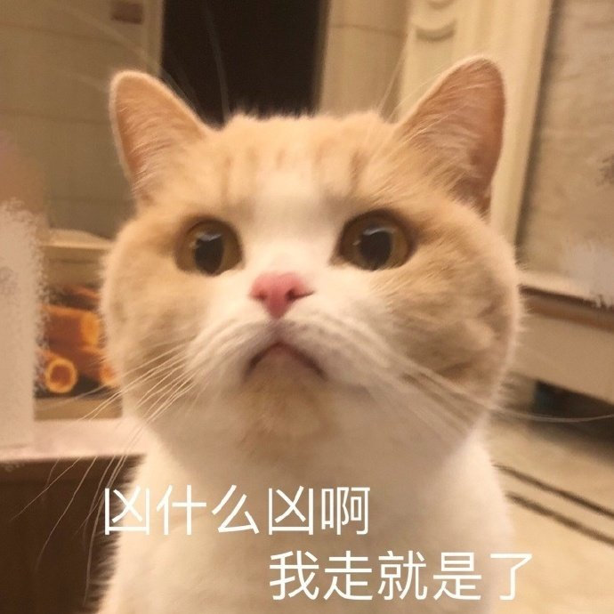 2021.4.13 今日份沙雕表情包合集