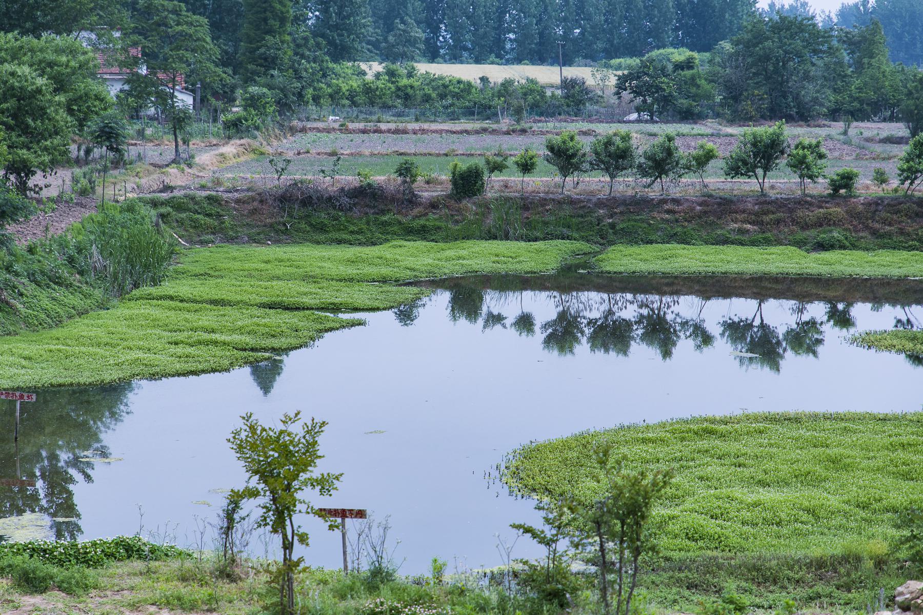 国内唯一一座永久宜居城市,竟是北方这座三线小城,你去过吗? 国内唯一一座永久宜居城市,竟是北方这座三线小城,你去过吗?