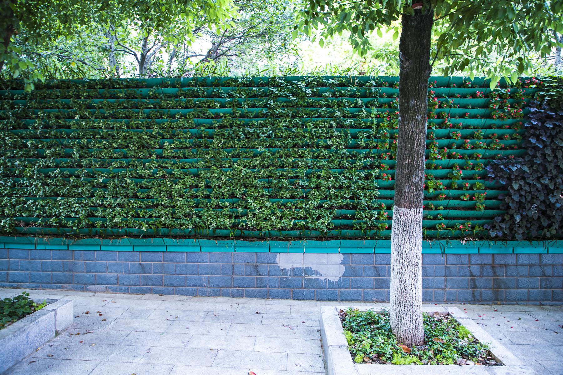 国内唯一一座永久宜居城市,竟是北方这座三线小城,你去过吗? 国内唯一一座永久宜居城市,竟是北方这座三线小城,你去过吗?