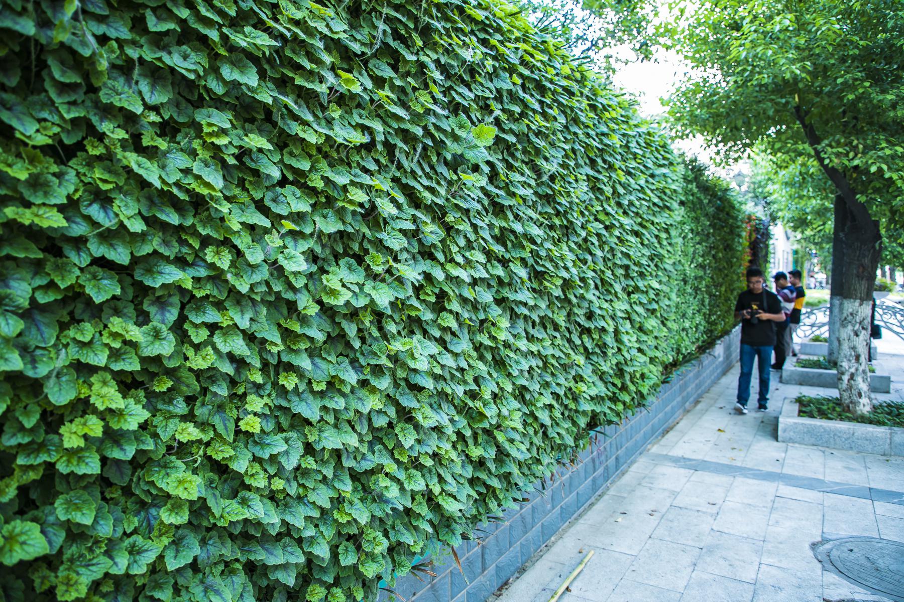 国内唯一一座永久宜居城市,竟是北方这座三线小城,你去过吗? 国内唯一一座永久宜居城市,竟是北方这座三线小城,你去过吗?