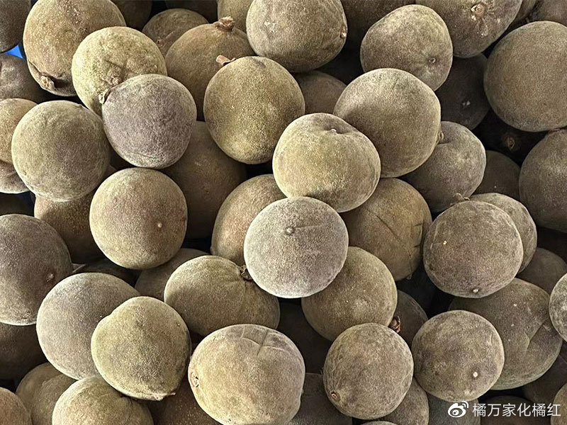 化州橘红价格多少钱一斤（化橘红价格）