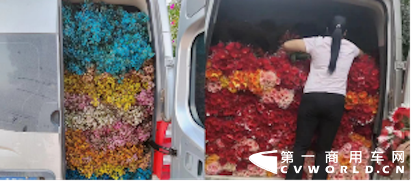 夺云贵地区销冠陕西市占率达51%图雅诺吉象为啥这么受欢迎？