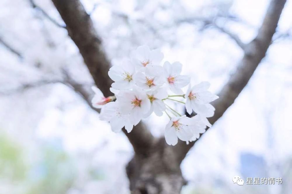 白羊座身上,有哪些值得欣赏和学习的优点呢? 白羊座身上,有哪些值得欣赏和学习的优点呢?