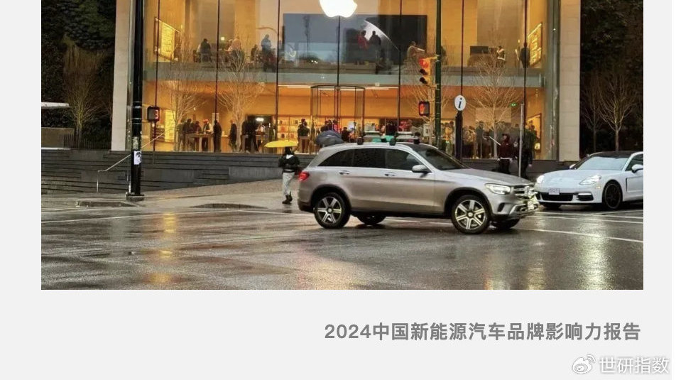 2024中国新能源汽车品牌影响力报告