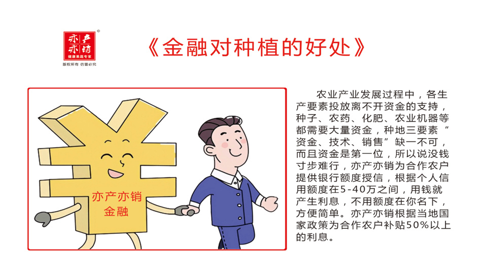 愿意来留得住干得好能出彩乡村振兴产业园异军突起