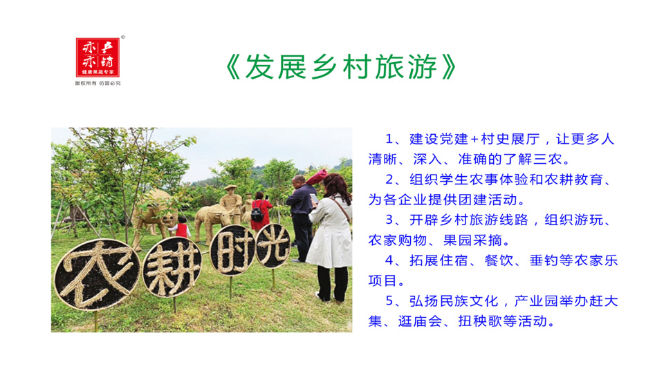 愿意来留得住干得好能出彩乡村振兴产业园异军突起