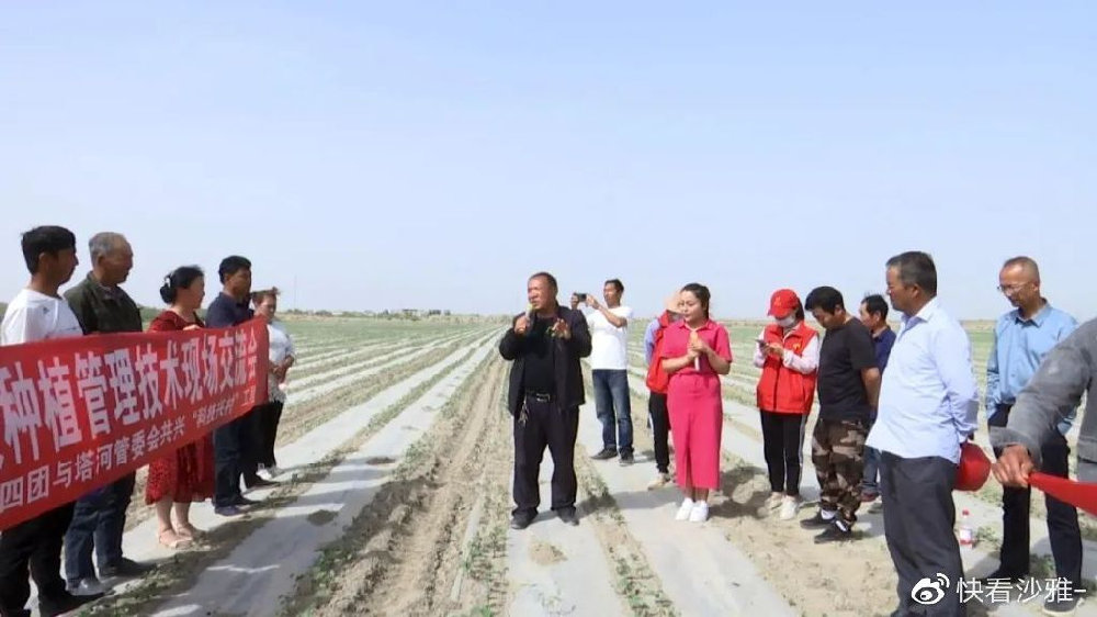 新疆新农人丨强化农业科技交流 推进兵地融合发展