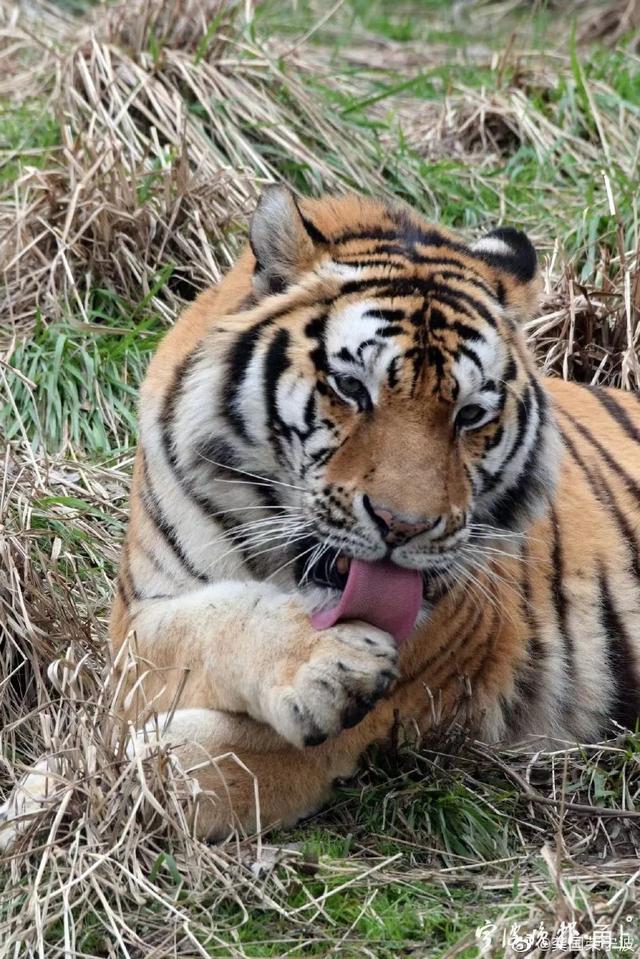 大年初四阳光回归,宁波景区里是这样的……休闲区蓝鸢梦想 - Www.slyday.coM 大年初四阳光回归,宁波景区里是这样的……休闲区蓝鸢梦想 - Www.slyday.coM