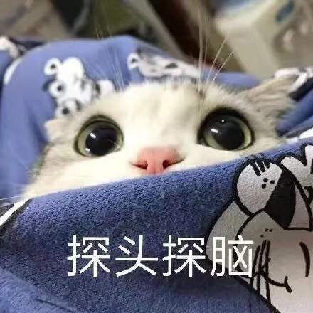 2020.7.2 今日份沙雕表情包合集