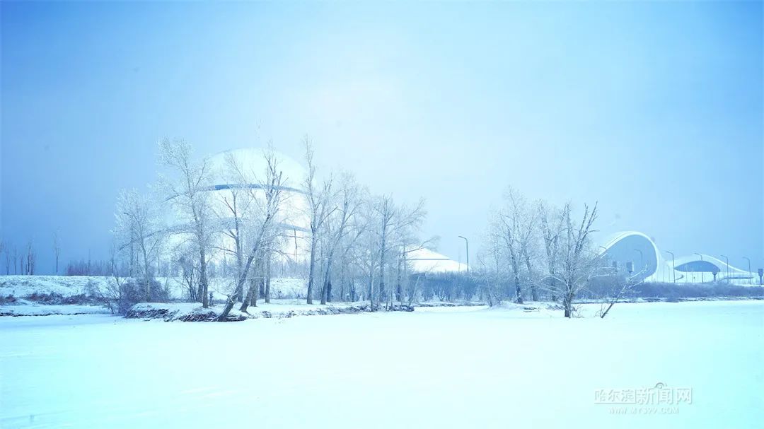 二月二龙抬头丨春龙节雨夹雪、伴大风休闲区蓝鸢梦想 - Www.slyday.coM 二月二龙抬头丨春龙节雨夹雪、伴大风休闲区蓝鸢梦想 - Www.slyday.coM