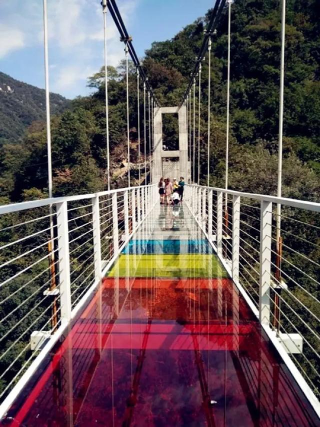 云露山景区为内乡县衙送200件矿泉水 慰问一线防控人员