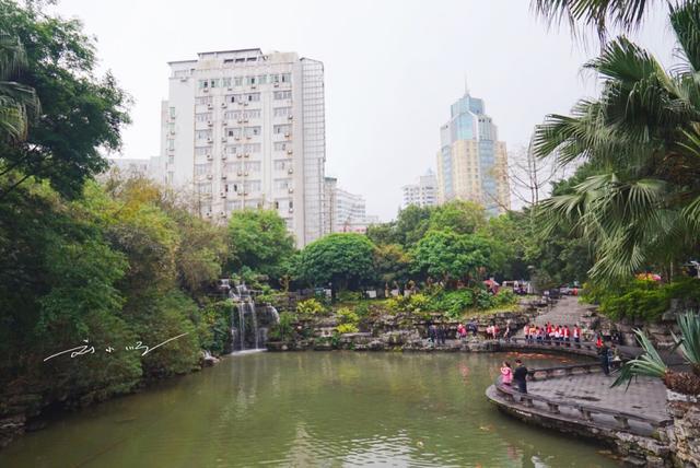 柳州最新数据的gdp2_南宁、柳州、桂林、玉林,2020年第一季度GDP数据