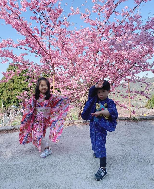 林志颖弟弟樱花树下拍全家福，儿女双全长得像龙凤胎，幸福温馨