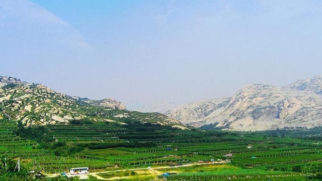 山东省县级市排名_山东省地级城市2019年度GDP排名青岛市第一枣庄市末