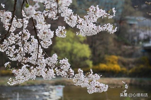 3月，爱在原地，不舍不弃，3星座携手真爱，幸福相依