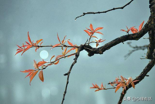 3月，桃花泛滥，痴情无解，3星座重遇旧爱，幸福无处不在