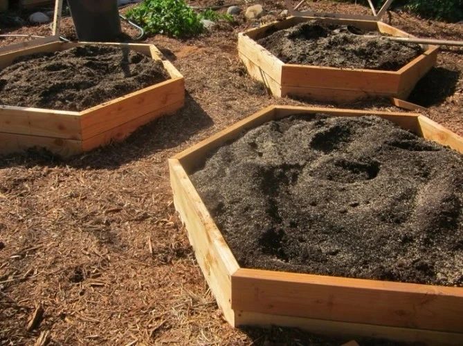 这8种常见的材料都能变成有机肥料 适合用在院子