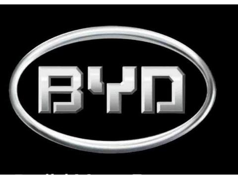 车标带B除了比亚迪，撞了谁都惹不起，尤其这辆，碰上准备卖房吧