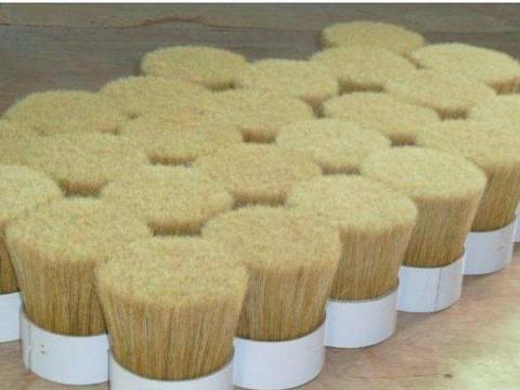 为什么说猪为世界反法西斯战争的胜利做出了巨大贡献？...