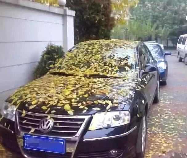 汽车至少能停多少天不坏？尽可能在一定时间内，不然谁都救不了