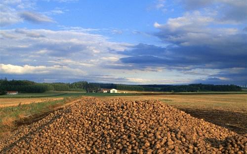 ������δȷȨ�����ؽ��ᱻ�����ջأ�ũ�������ǿ�Ҫ������׼����