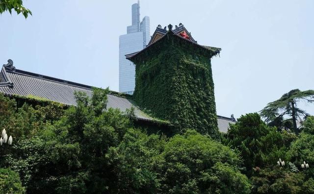 2020杰青大学排名_双一流建设前后“杰青”排名,浙大跌出前