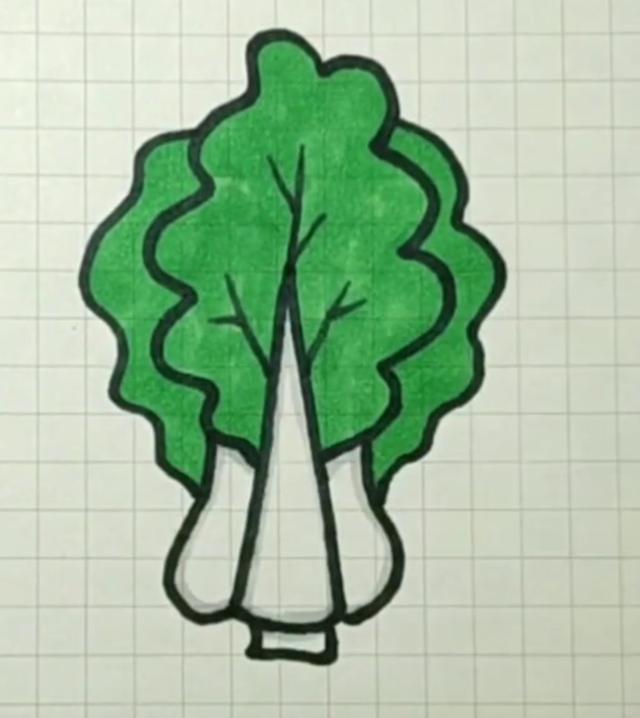 然后画笔连着外面再画上一个弧形,这样小白菜的叶子也就画好了,这时候