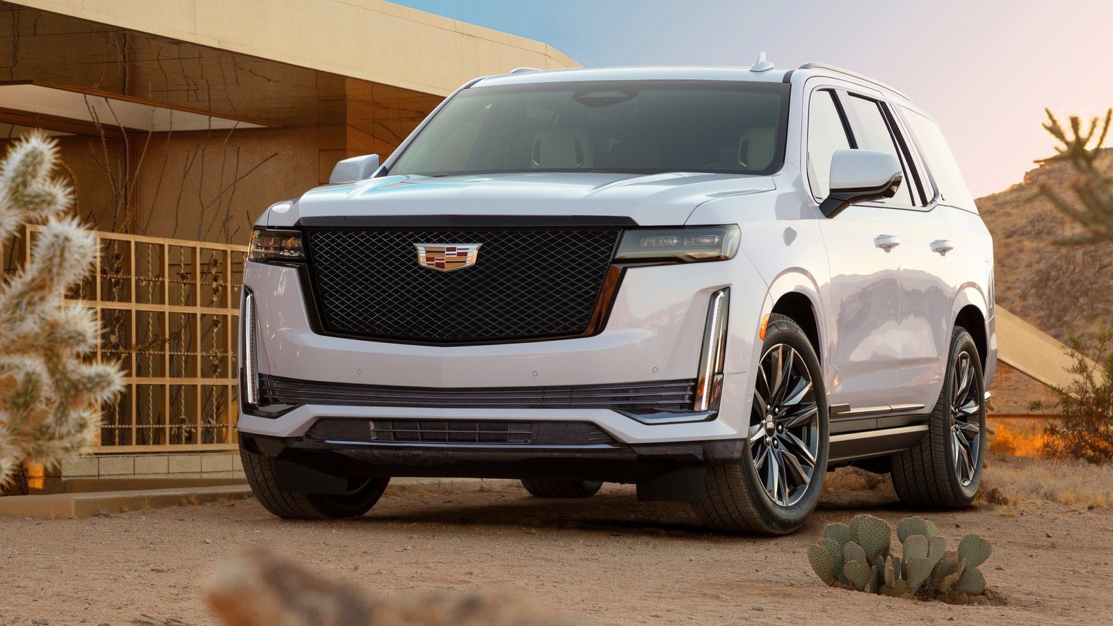 2020年10台“宽车”!“辣馒头”连榜单都没进!