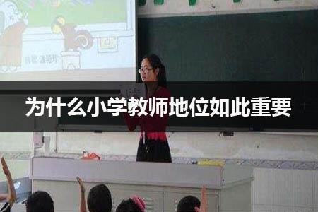 为什么小学教师地位如此重要