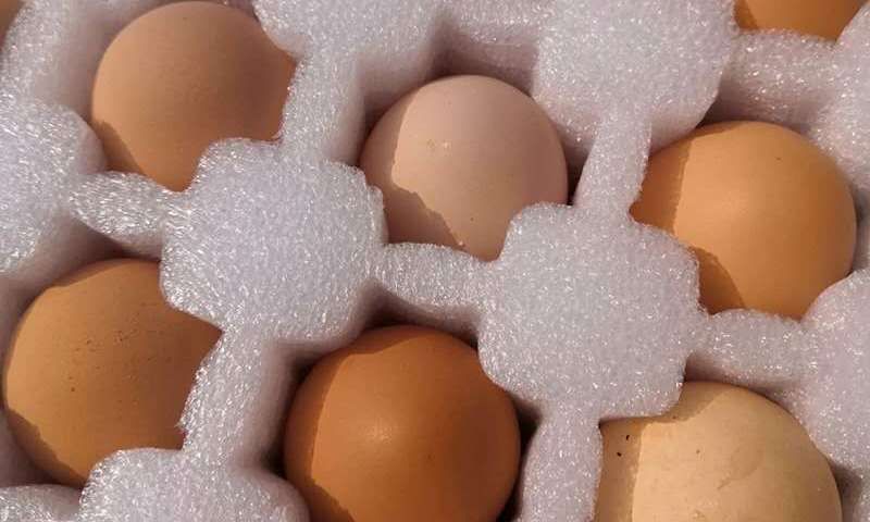3、冰箱里的鸡蛋裂开是什么原因： 鸡蛋在冰箱里冷冻是什么问题？ 