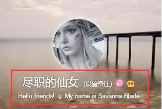 “精灵女孩”Savanna Blade：美得让人分不清真假