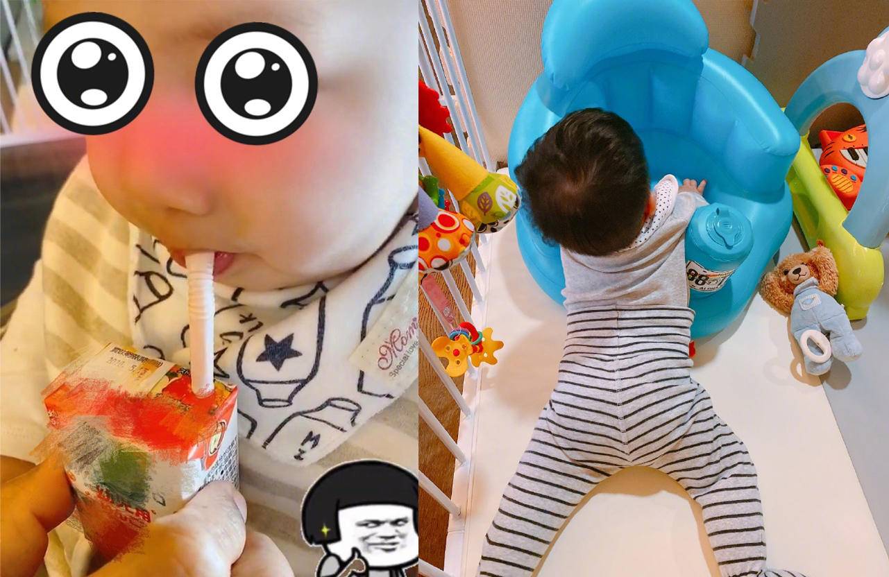 安以轩优渥阔太生活曝光,分享儿子成长近况,小六六胖出双下巴