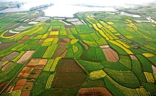 中国的四大高原,四大盆地,三大平原,这里一次讲清楚