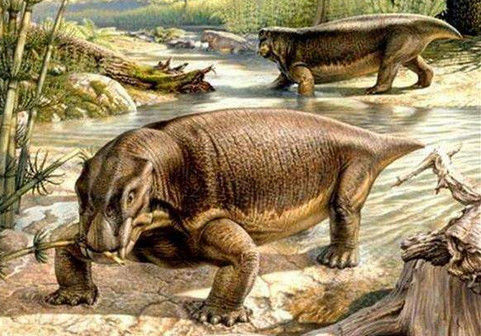 盘点全球最恐怖的生物,凶狠毒辣,最后一个恐龙见了都害怕!