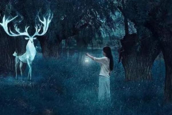 连续几个晚上梦到逝去的亲人,梦境与现实交织的深层含义 连续几个晚上梦到逝去的亲人,梦境与现实交织的深层含义