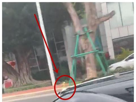 “高仿版”劳斯莱斯，车价248万，配金标，挂两地牌，还是敞篷