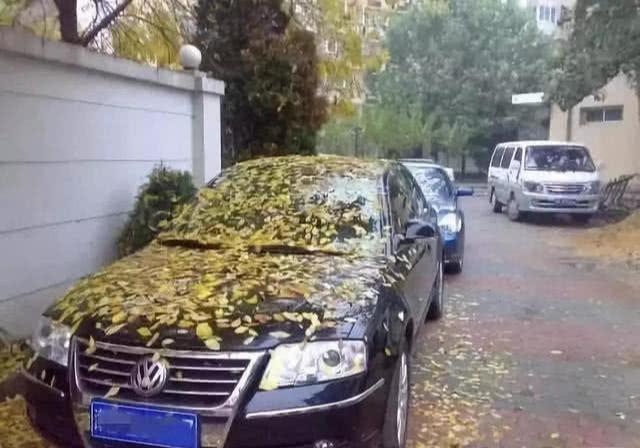 你的爱车多久没开了？趁电池还有电，赶紧去把车上这东西拆下来